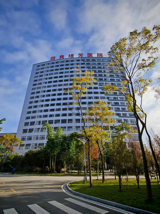 【新年絮语】陆良培芳医院之美