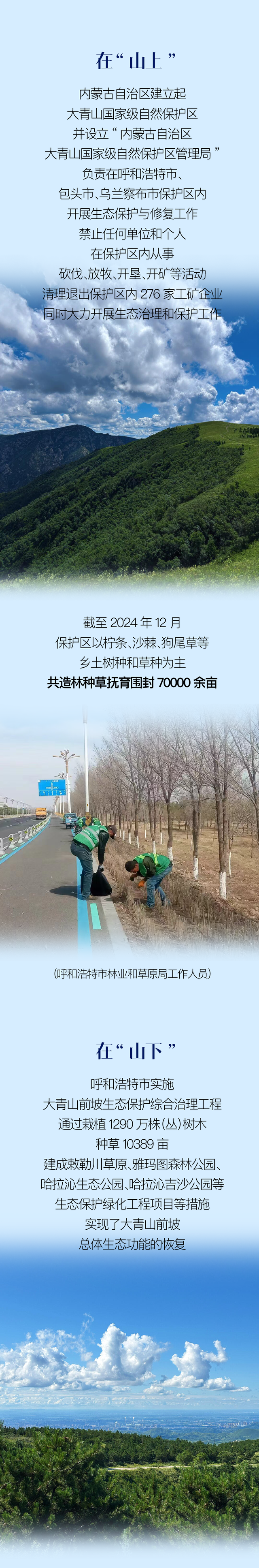 大青山，怎么这么“青”？！