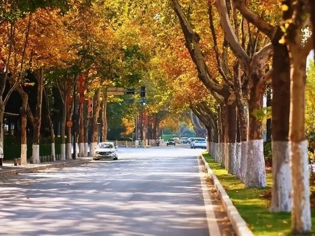 秋日限定美景，还不赶紧来拍？