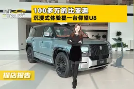 100多万的比亚迪 沉浸式体验提一台仰望U8图片