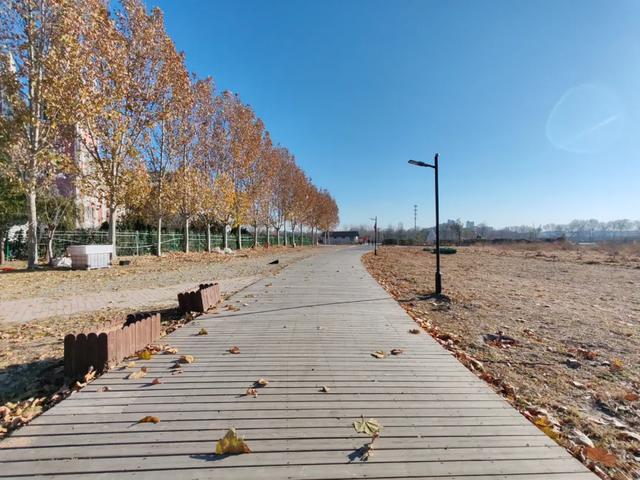 德州城西“花园营地”怎么不见了？