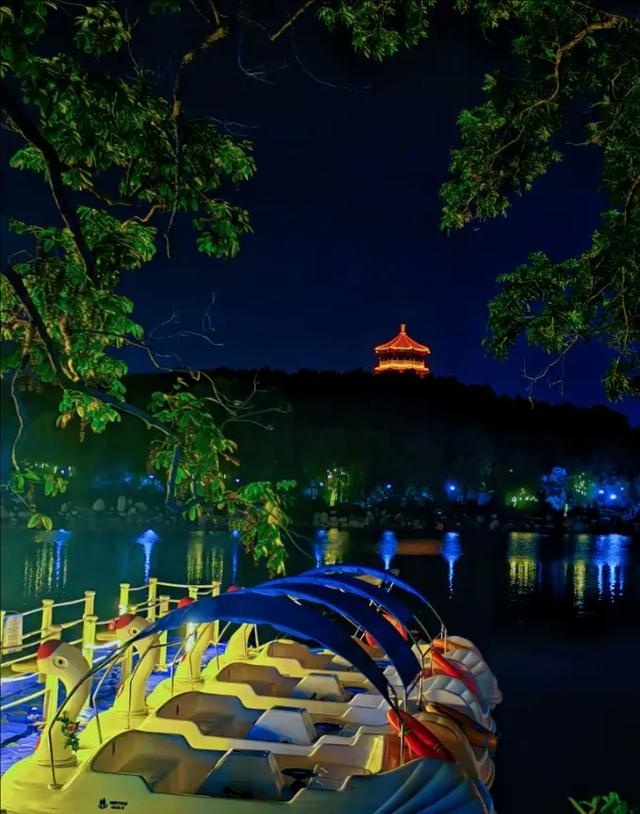 虎山公园夜游渐火 光影交织引客来