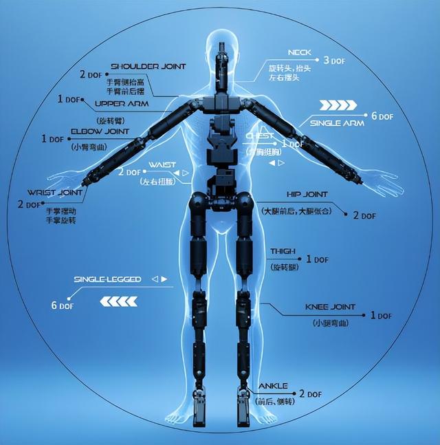 全球首个女团机器人拍出10580 元！这个 “新玩具”有哪些赚钱门道