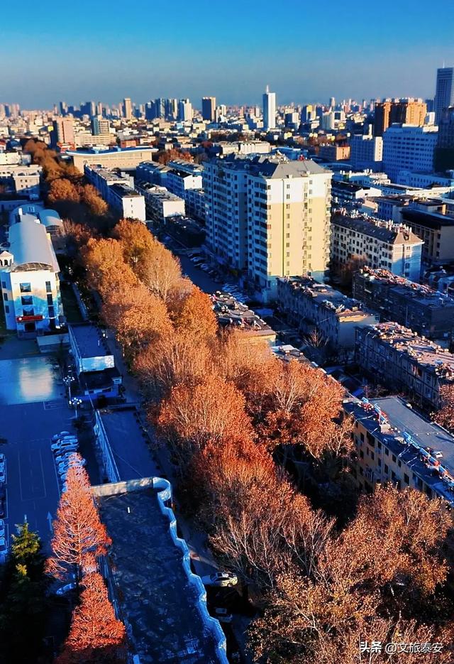 Citywalk街拍点+1!解锁泰安过冬究极浪漫,这条路也许离你不远~