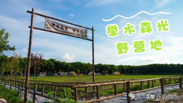 新洲宝藏营地上线!溯溪摸鱼×丛林穿越×星空烧烤,一站式撒野攻略→