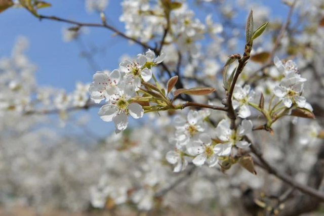 水上公园发布预告