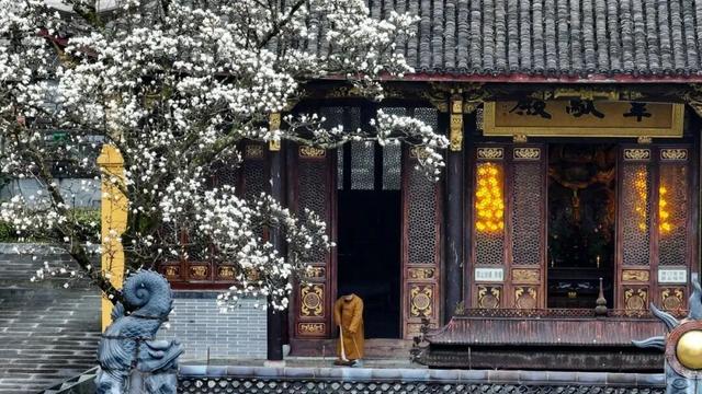秋色盛宴！5条绝美线路解锁临安限定浪漫