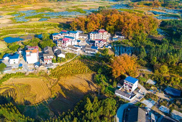 莫道秋来花开尽 五彩斑斓别样韵