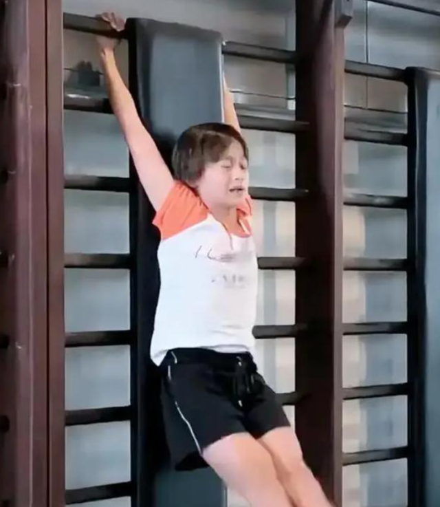 离过年不到1月，全红婵高调传出大喜讯，让人担心的事还是发生了