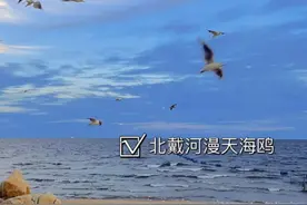 中国最委屈的省，看似平平无奇，却是唯一集齐所有地貌的宝藏地！图片