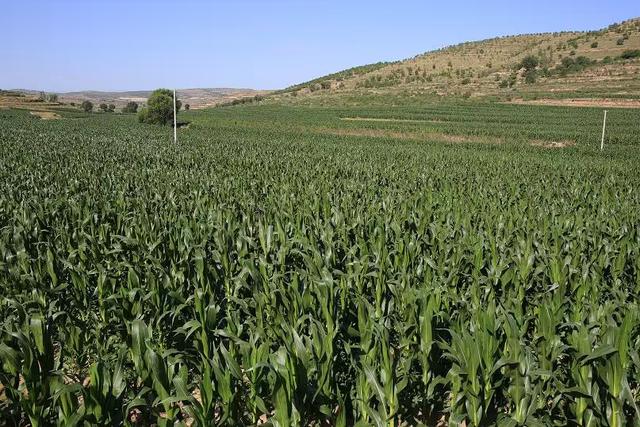 又踏甘肃地之二 一路上的点点滴滴