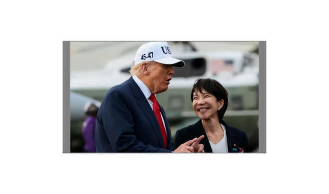 最后关头，高市政府通告中国，希望送回大熊猫，外交部回应不简单