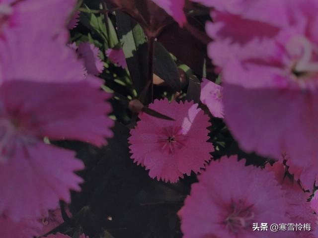 男人如何去刺激女人的荷尔蒙？方法很简单	，不信可以试试。