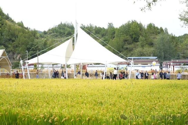 解码“金徽县”：陇上江南的诗意与远方