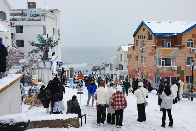 白茫茫一片！“雪窝子”威海下起倾盆大雪