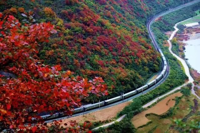 【千里嘉陵江 虞关好风光】虞关秋意浓，山水共秋酡