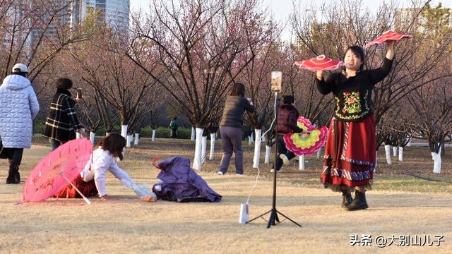 千金梅岭：红梅绽放喜迎元旦