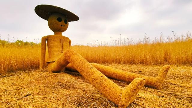 一场“叶舞+稻草”的双重奇遇！北京园博园秋游正当时——