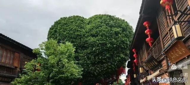 铁兵游记 | 一片三坊七巷，半部中国近代史：福州三坊七巷景区