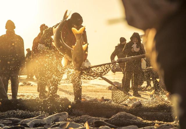 启动春节逛吃模式！南京两景区最新免费，钓鱼尝湖鲜，亲子露营