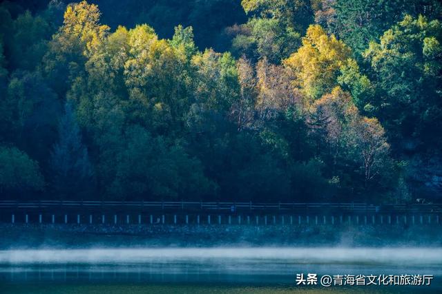 秋色漫卷海东，一场山水林间的浪漫叙事