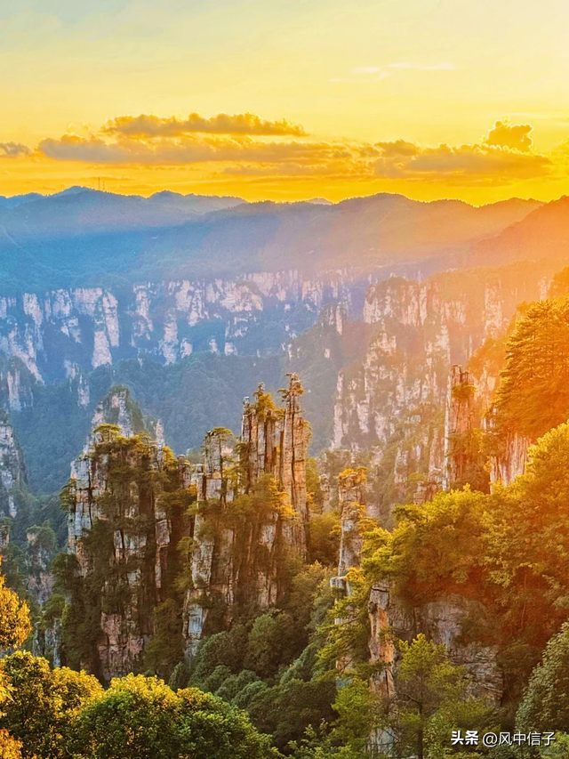 暑假带娃去张家界，最惊喜的不是山！是让他摸过 300 米高的石头