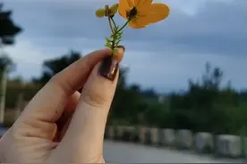 爱过，睡过，纠缠过，恨过，痛过，没有遗憾了，也没有不甘心了图片