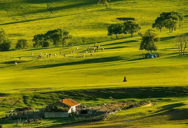 燕南赵北‖光影草原
