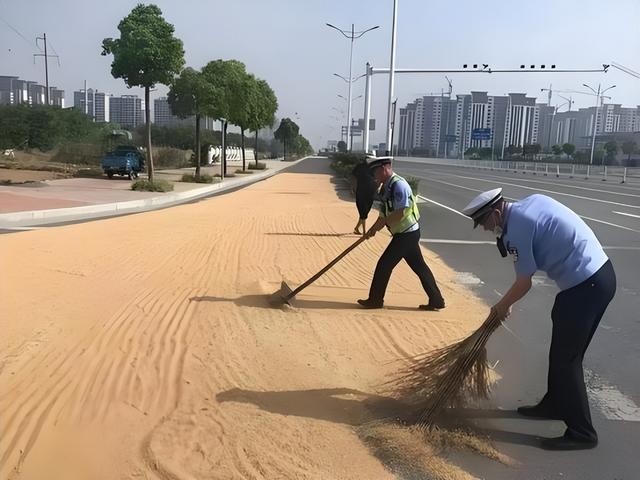 公路晒粮食图鉴！石头拦钉板放碎玻璃片！“死神来了”在乡村重演