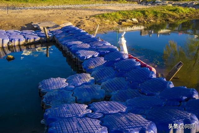 洱海的湿地公园很多，这几座孤岛风景不错，只是唯一的浮桥太晃荡