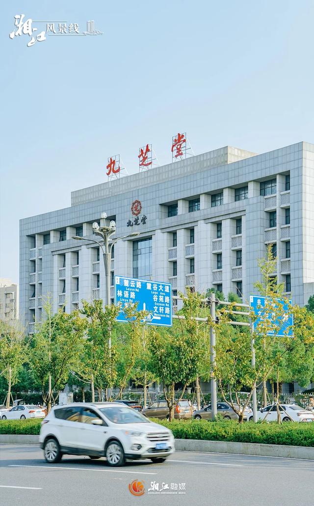 这样的桐梓坡，你一定没见过！