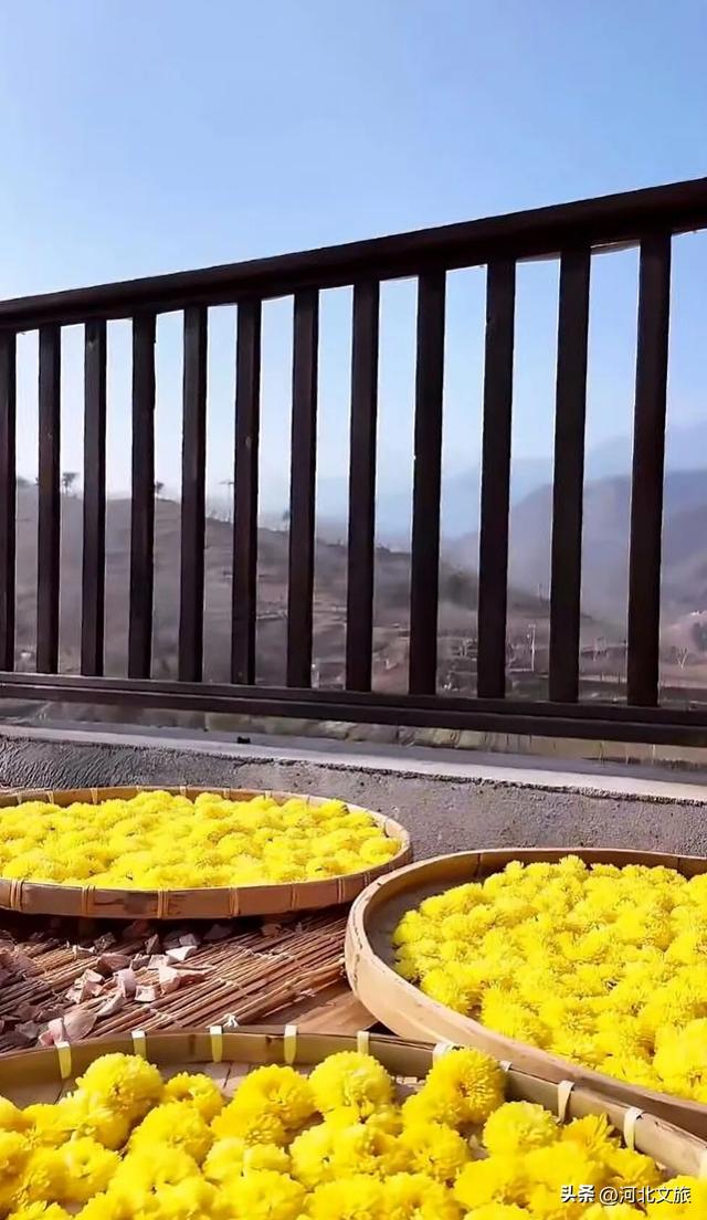 李子柒式的诗意栖居，赞皇也有！