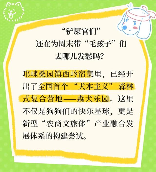 汪汪队！集合！