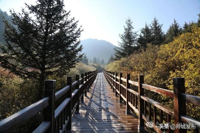 当周秋韵：雪山为伴 色彩作诗