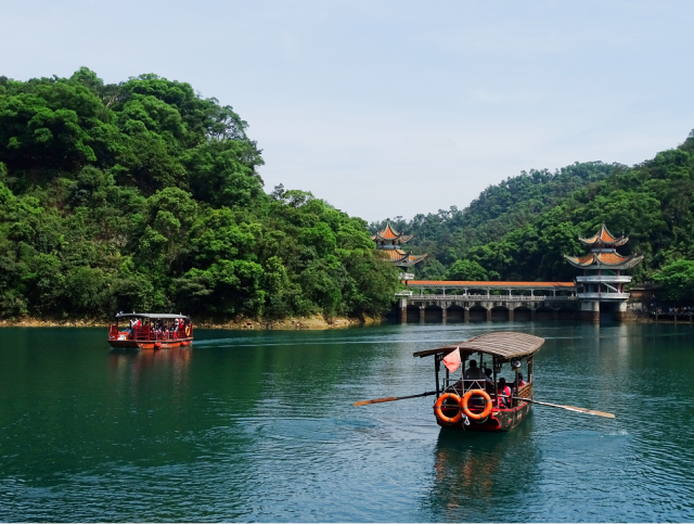 百万粉丝达人宝哥携导盲犬游览鼎湖山，直呼：空气好清新！