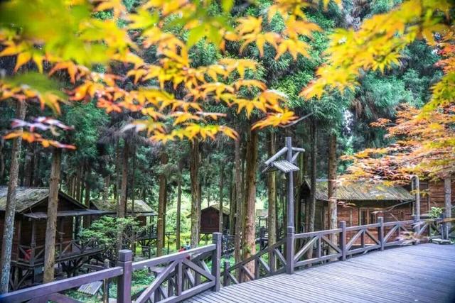 这个秋天来坪坝营，把日子过成童话！