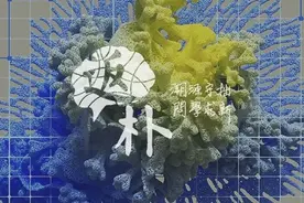 生命演化偏爱单一手性：为何蛋白质几乎都是“左撇子”？图片