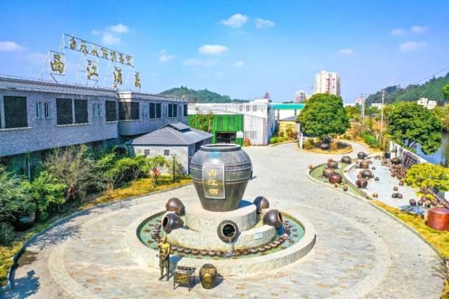 免票、打折……肇庆超多福利来袭！速看→