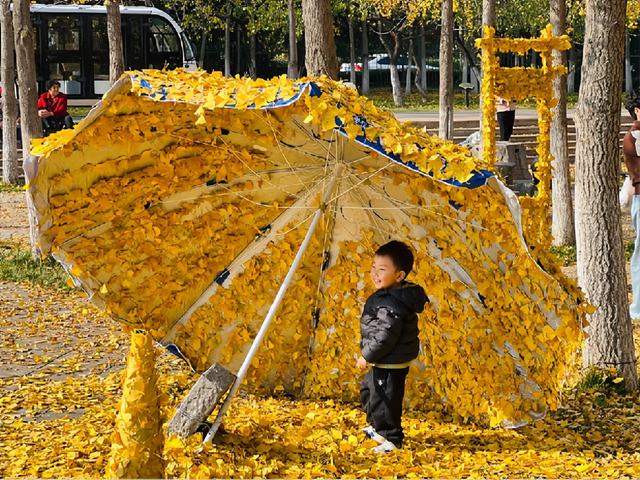 框住一园秋色：临沂园博园创意景观引客来