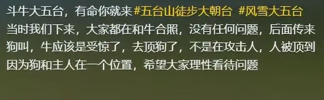 景区回应踩踏事件！游客徒步遭牛群踩，真相曝光网友骂活该