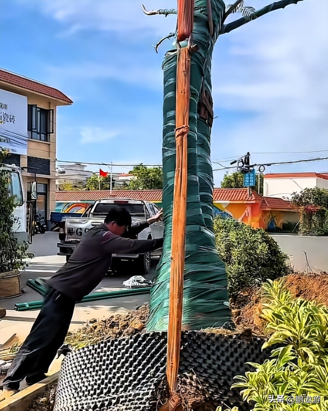 全红婵爸爸用冠军名号赚钱	，把流量变成现实红利，网友评论吵翻天