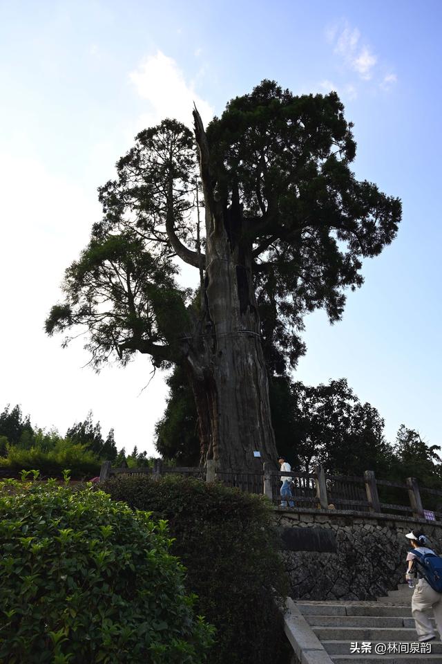 无佛无僧无香火的时思寺，地处畲乡千米高山的云中大漈，景色奇特