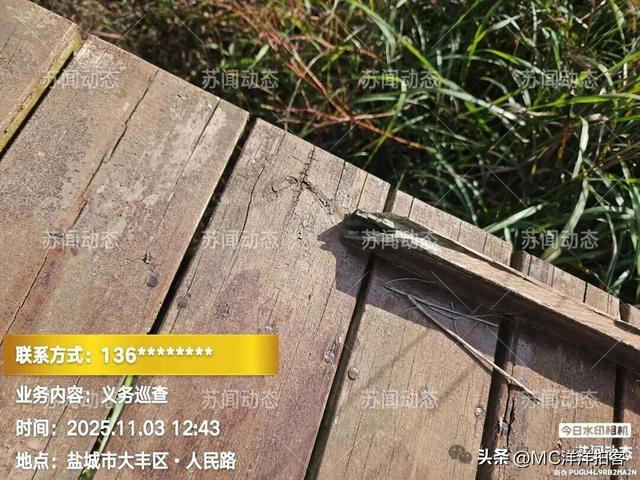 大丰人民路"寿园"：荒了里子，丢了面子，有关领导岀来看一看！