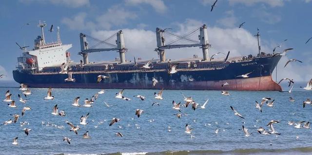 乘高铁看天鹅，还有限时景区优惠！
