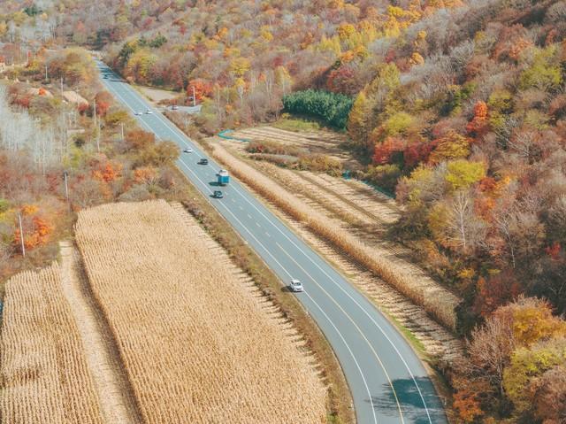 中国最美的20条秋景公路，我已走了11条，游完全部此生就无憾了