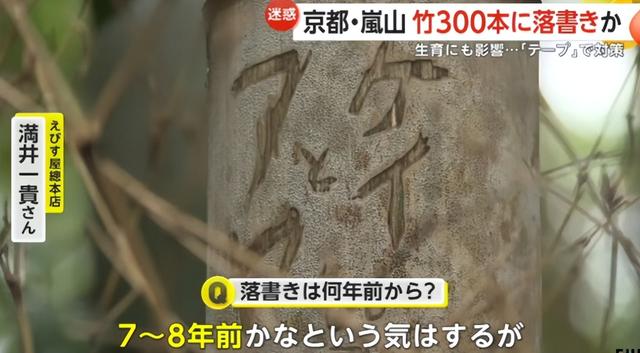 日本网红打卡地快被外国游客 “霍霍” 没了？京都岚山被逼砍竹林！