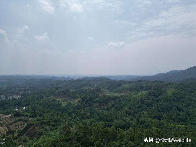 成都徒步（68）·彭州篇⑮佛山古寺&镇国寺宝塔