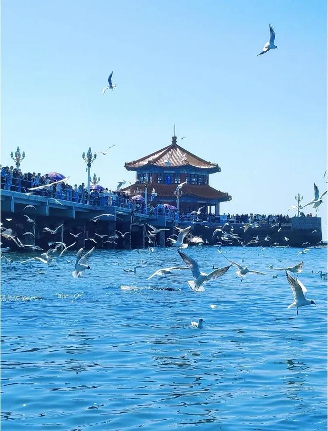 高铁直达！暑假再忙也要带孩子去的6个城市！争取一年去一个！