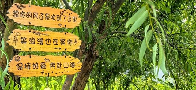 镜水生态庄园：在田园与胜景间，寻回生活本真