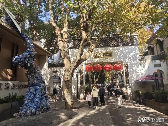 2025 杭州西湖 City Walk 留下足迹